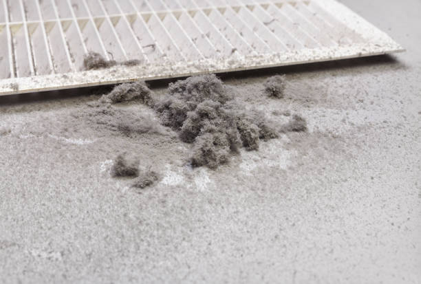 Best Emergency Air Duct Cleaning  in Patrick Af, FL